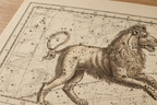 Vintage Constellation Atlas Poster